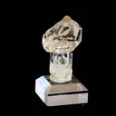 specimen video
