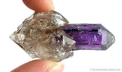 Quartz Scepters on Amethyst (Floater) image