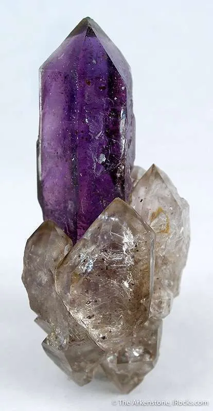 Quartz Scepters on Amethyst (Floater) - image 3