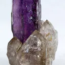 Quartz Scepters on Amethyst (Floater) - image 3