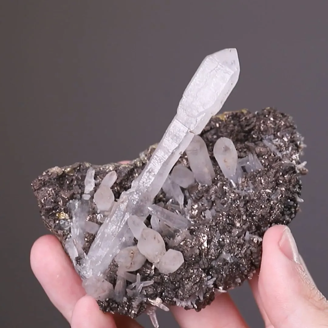 Quartz SCEPTRE - image 2