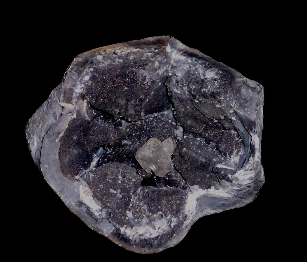 Quartz (septaria) , Rémuzat, France image