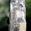 Quartz & siderite Apatite 205 grams - Panasqueira Mines, Covilhã, Castelo Branco District, Portugal - image 6