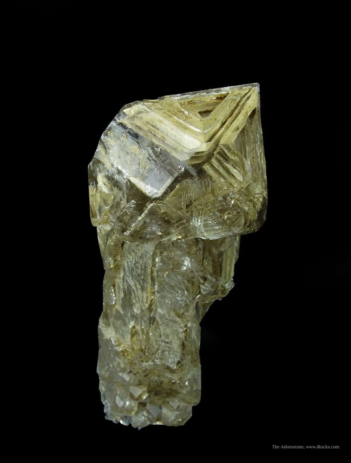 Quartz (Skeletal Scepter)(Dt) - image 5