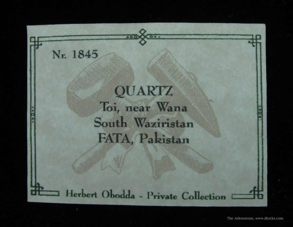 Quartz (Skeletal Scepter)(Dt) - image 6