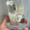 specimen video