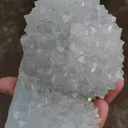 specimen video