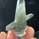 specimen video