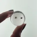 Quartz sphere with Thorite inclusion - image 2