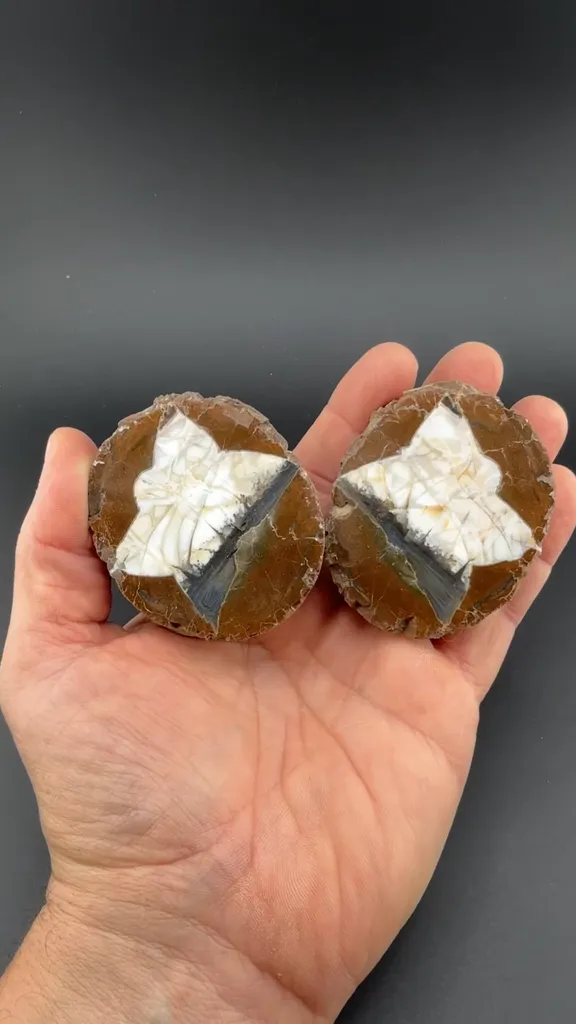 Quartz (Thunderegg Agate) image