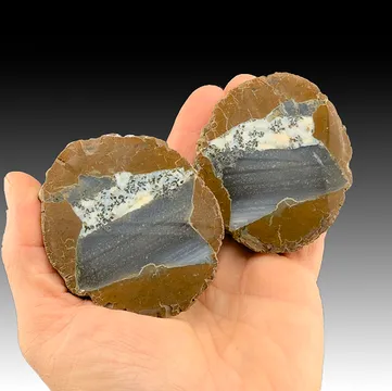 Quartz (Thunderegg Agate)