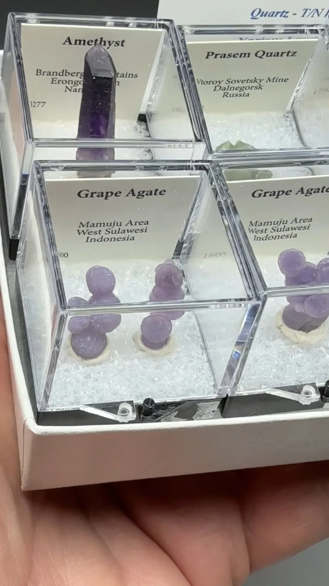 Quartz - T/N lot - image 2