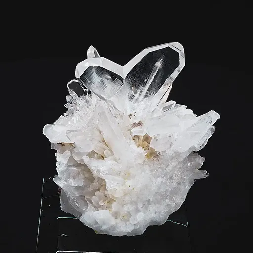 specimen video