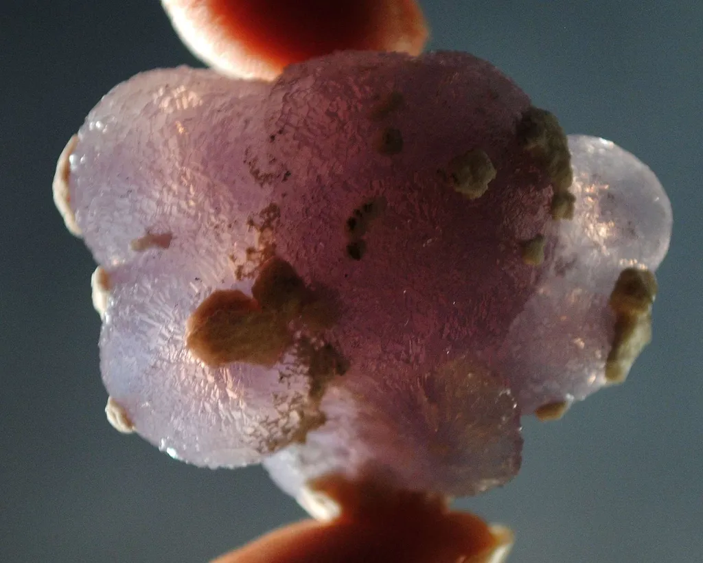 Quartz (Unusual Lavender Balls) - image 3