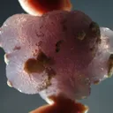 Quartz (Unusual Lavender Balls) - image 3