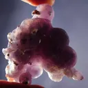 Quartz (Unusual Lavender Balls) - image 2