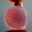 Quartz (Unusual Lavender Balls) - image 3