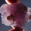 Quartz (Unusual Lavender Balls) - image 2