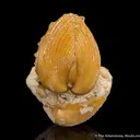 Quartz var. Agate ps. after Shell - image 2