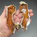 Quartz var. Agatized Coral - image 2