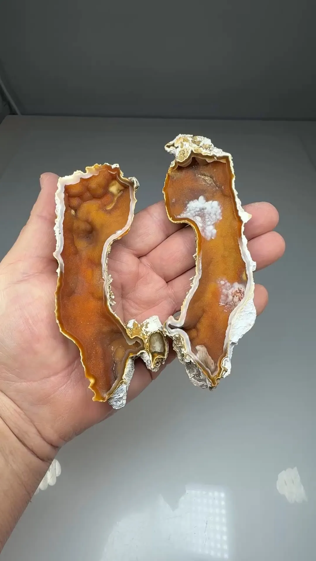 Quartz var. Agatized Coral - image 2