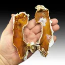 Quartz var. Agatized Coral - image 1