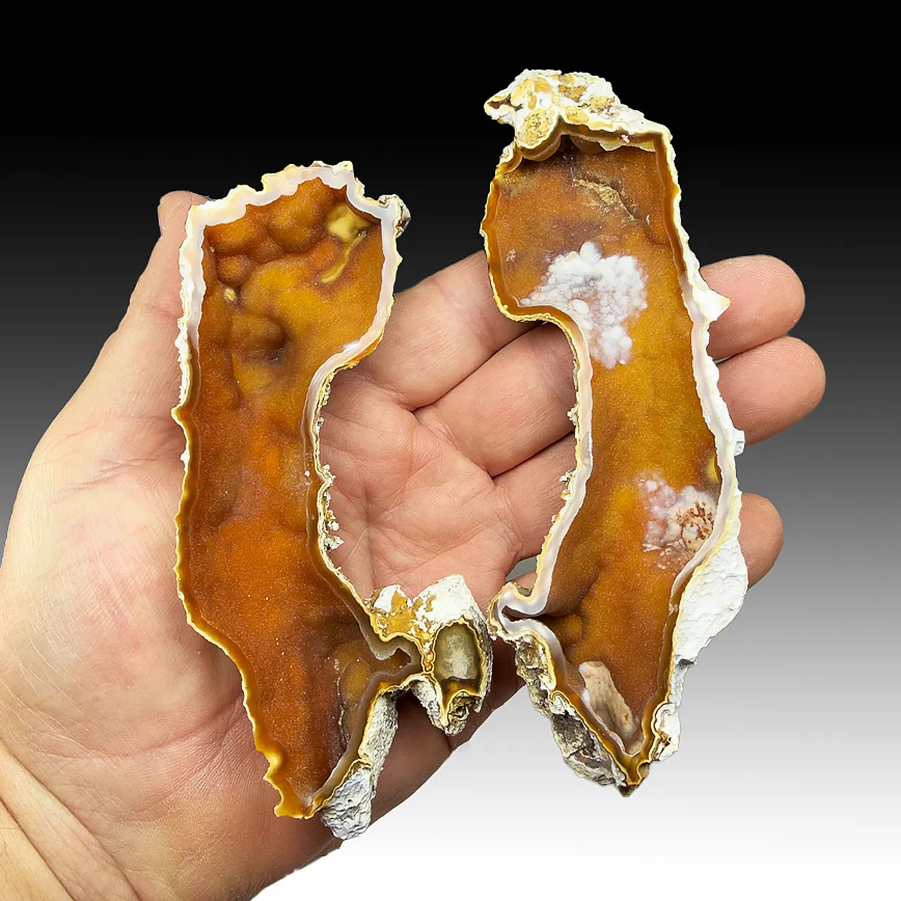 Quartz var. Agatized Coral - image 1