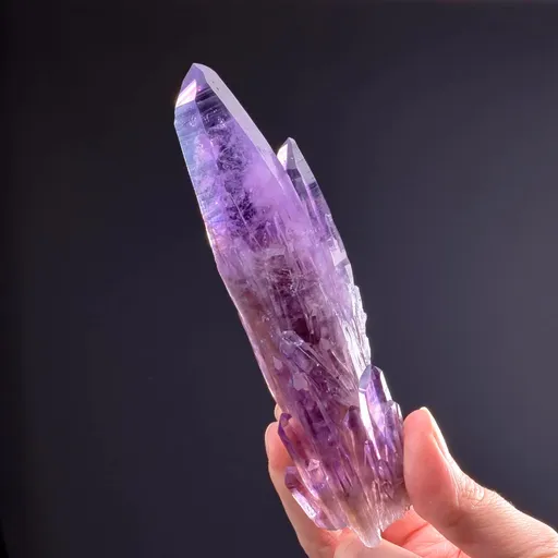 specimen video