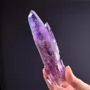 specimen video
