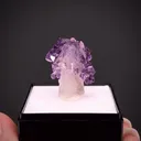 Quartz var. Amethyst - image 2