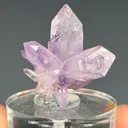 Quartz var. Amethyst - image 1