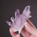 Quartz Var. Amethyst - image 2