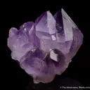 Quartz var. Amethyst - image 1