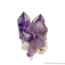 Quartz var. Amethyst - image 5