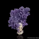 Quartz var. Amethyst - image 1