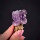 Quartz var. Amethyst - image 2