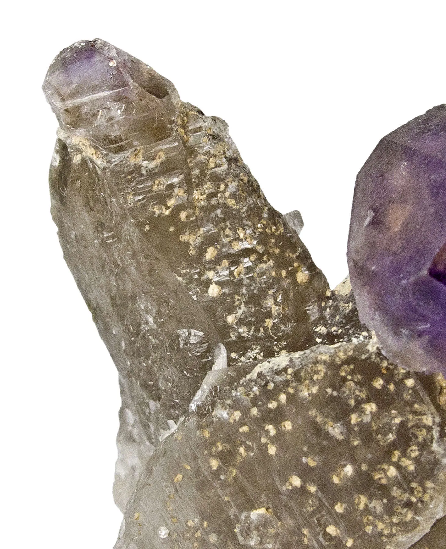 Quartz Var. Amethyst - image 3