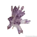 Quartz var. Amethyst - image 2