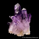 Quartz var. Amethyst - image 4