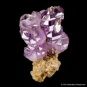 Quartz var. Amethyst - image 5