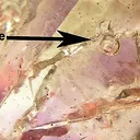 Quartz (Var: Amethyst) - image 2