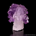 Quartz var. Amethyst - image 1