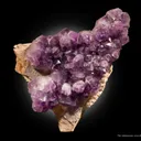 Quartz Var. Amethyst - image 3