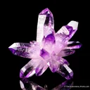 Quartz var. Amethyst - image 4