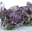Quartz Var. Amethyst - image 4