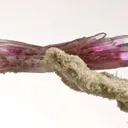 Quartz Var. Amethyst - image 4