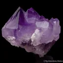 Quartz var. Amethyst - image 5