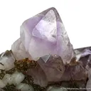 Quartz Var. Amethyst - image 2