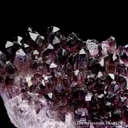 Quartz var. Amethyst - image 4
