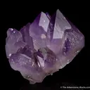 Quartz var. Amethyst - image 3